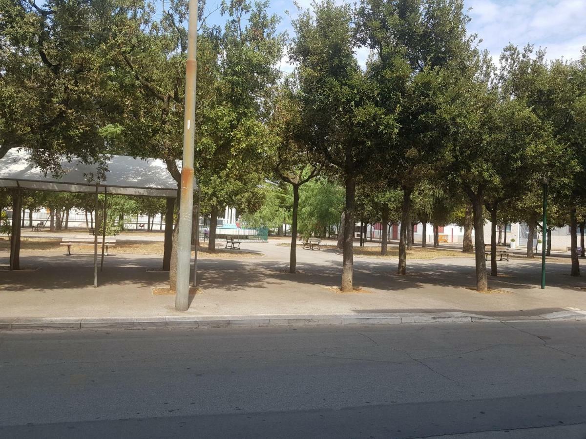 "La Casa Di Mariagrazia" Appartamento 4 Locali Sammichele Di Bari Extérieur photo